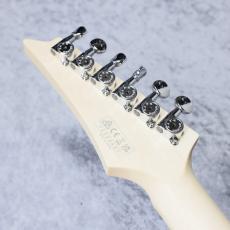 Ibanez AT100CL 【Andy Timmons Model】「現物写真」_9