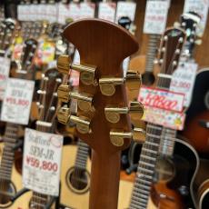 Ovation 【アウトレット大特価】CE44P-SM-G #CCV24090819 【送料無料】_10