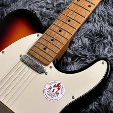 Bacchus BTE-1DX RSM/M 3TS (3-Tone Sunburst)  -Univers Series-【アウトレット特価】【ステンレスフレット】_4