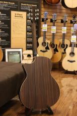 Eastman PCH2-GACE-CLA_10