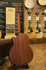 Eastman PCH1-GACE / Satin TC_10