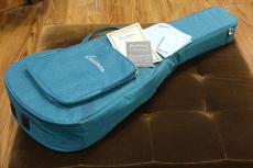 Eastman PCH1-GACE / Satin TC_11