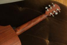 Eastman PCH1-GACE-CLA_4