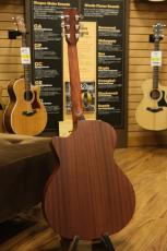 Eastman PCH1-GACE-CLA_11