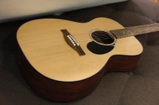 Eastman PCH1-OM
