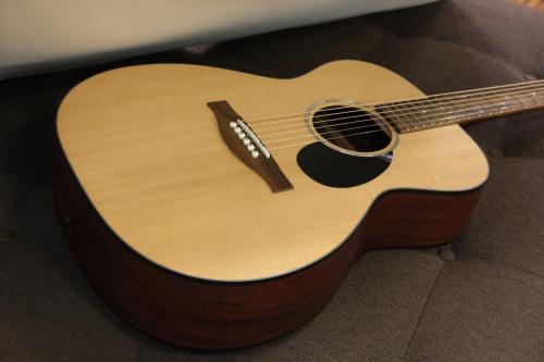 Eastman PCH1-OM