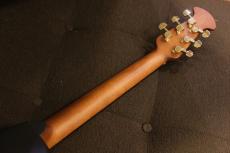 Ovation CE44P-FKOA-G_4