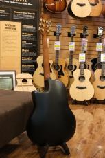 Ovation CE44P-FKOA-G_10