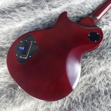 Epiphone Les Paul Prophecy Aged Bengal Tiger Burst_6