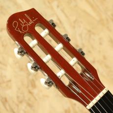 Godin Multiac Nylon Duet Ambiance 2014_8