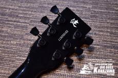 Edwards E-SR-Kellogg【ド派手!横山健モデル!】_5