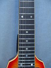 DEAN USA THE V -Cherry Sunburst- 1984年製 【Rare!】_8