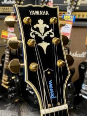 YAMAHA SG-2000MT MASAYOSHI TAKANAKA -LGB (Lagoon Blue)- 1999年製 【Rare!】_5