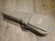 Taylor GS Mini Mahogany_4