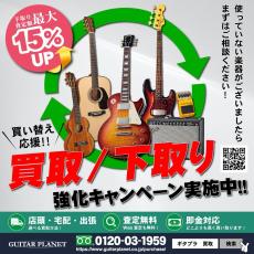 Sire M6 5st Headless -Surf Green Metalic Satin-【3.87kg】_8