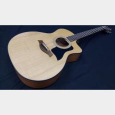 Taylor Taylor 114ce-S_5