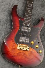 FREEDOM CUSTOM GUITAR RESEARCH Custom Order HYDRA 24F Standard Grade Figured Top/Alder Body/日の出【当店カスタム配線採用】