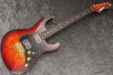 FREEDOM CUSTOM GUITAR RESEARCH Custom Order HYDRA 24F Standard Grade Figured Top/Alder Body/日の出【当店カスタム配線採用】_2