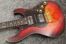 FREEDOM CUSTOM GUITAR RESEARCH Custom Order HYDRA 24F Standard Grade Figured Top/Alder Body/日の出【当店カスタム配線採用】_5