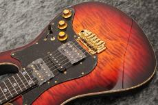 FREEDOM CUSTOM GUITAR RESEARCH Custom Order HYDRA 24F Standard Grade Figured Top/Alder Body/日の出【当店カスタム配線採用】_6