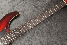 FREEDOM CUSTOM GUITAR RESEARCH Custom Order HYDRA 24F Standard Grade Figured Top/Alder Body/日の出【当店カスタム配線採用】_9