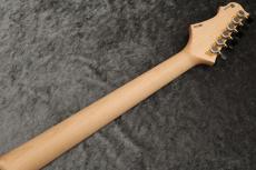 FREEDOM CUSTOM GUITAR RESEARCH Custom Order HYDRA 24F Standard Grade Figured Top/Alder Body/日の出【当店カスタム配線採用】_10