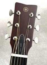 YAMAHA 【エレアコ】FGX3【オール単板】【赤ラベルを踏襲したシリーズ】_4