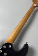 Bacchus GS-2 DX RSM/ M -Black-_9