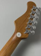 Bacchus GS-2 DX RSM/ M -Lake Placid Blue-_10