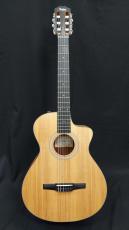 Taylor Taylor　112ce-NYLON