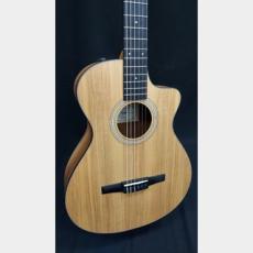 Taylor Taylor　112ce-NYLON_3