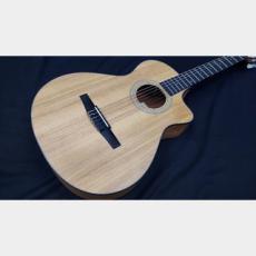 Taylor Taylor　112ce-NYLON_7