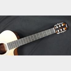 Taylor Taylor　112ce-NYLON_9