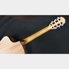 Taylor Taylor　112ce-NYLON_10