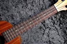 Kamaka 【ギグケースプレゼント!】HF-2 #250106 【コンサート】【美麗個体】【2025年製入荷!】【池袋店在庫品】_9