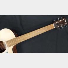 Taylor Taylor 112ce_9