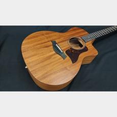 Taylor Taylor 24ce_3