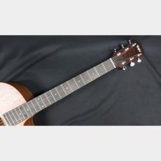 Taylor Taylor 24ce_7