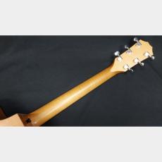 Taylor Taylor 24ce_8