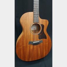 Taylor Taylor 24ce_9