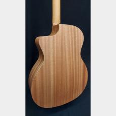 Taylor Taylor 24ce_10