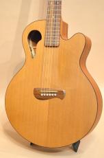 TACOMA C1C　2005年製_5