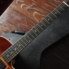 Buscarino Starlight Archtop Custom Sunburst_7