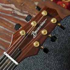 Buscarino Starlight Archtop Custom Sunburst_8