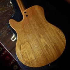 Buscarino Starlight Archtop Custom Sunburst_11