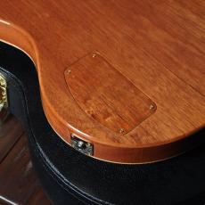 Buscarino Starlight Archtop Custom Sunburst_15