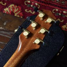 Buscarino Starlight Archtop Custom Sunburst_16