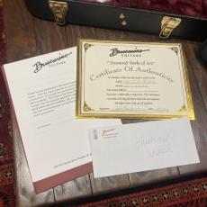 Buscarino Starlight Archtop Custom Sunburst_17