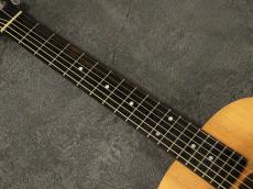 Taylor Baby Taylor BT1 2011_6