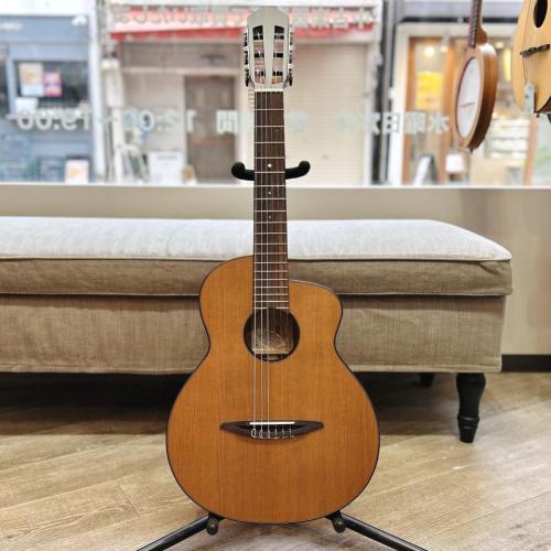 aNueNue aNN-N520AC(AUTUMN CEDAR)